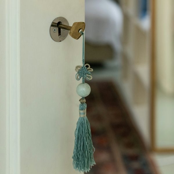 Photo of a key in a door.