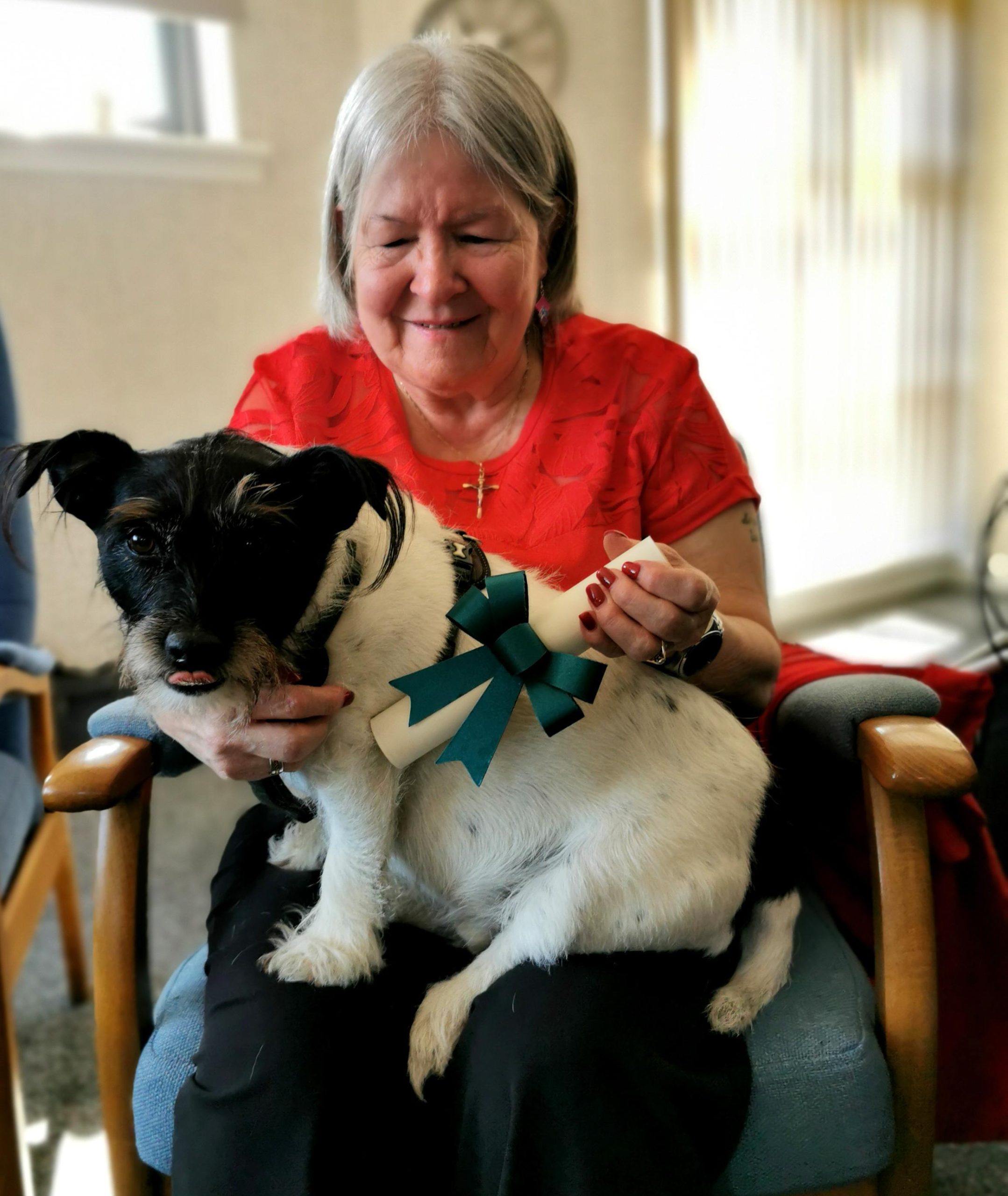 Photo of Elvis the dog with his certificate.