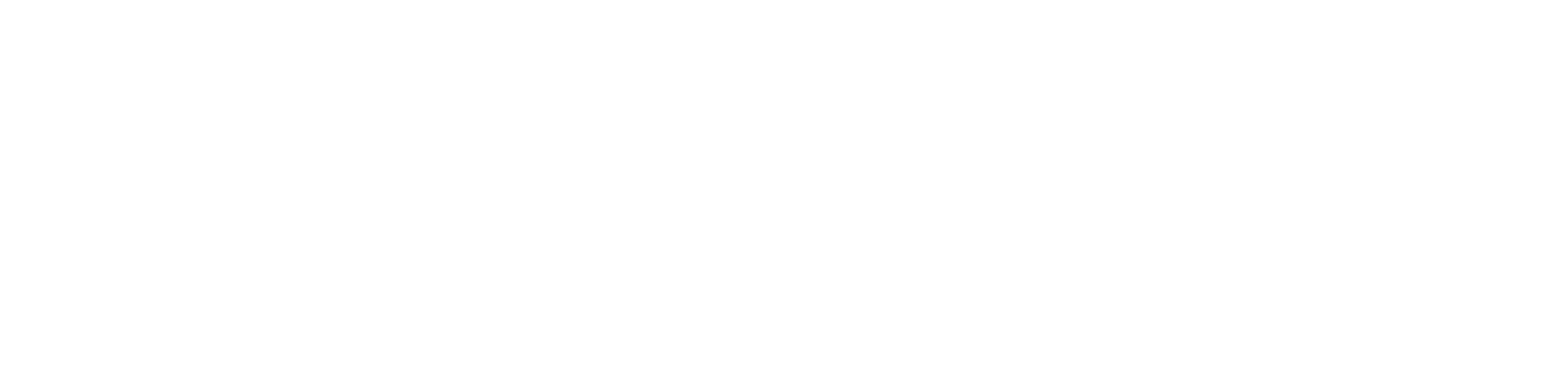 Investors in Diversity Silver until February 2028 logo
